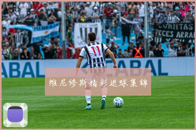 维尼修斯精彩进球集锦