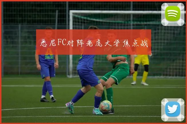 悉尼FC对阵老虎大学焦点战