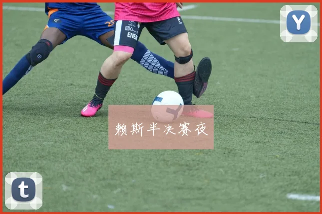 赖斯半决赛夜