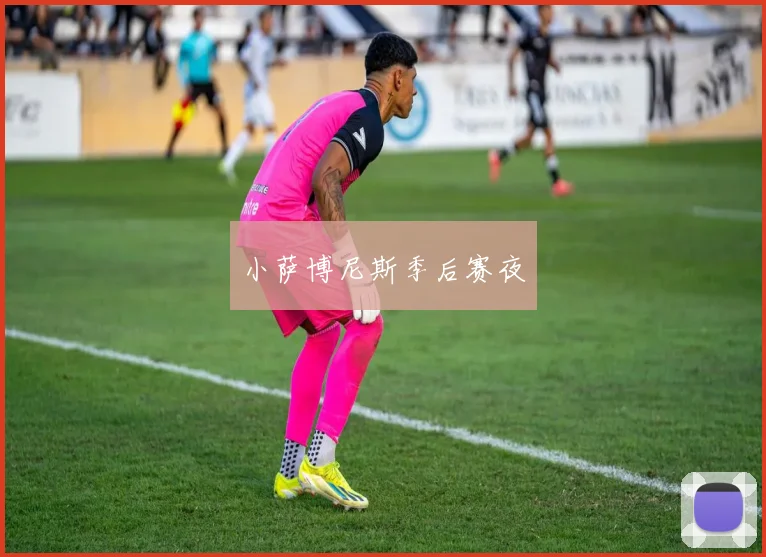 小萨博尼斯季后赛夜