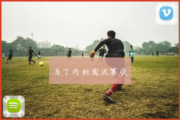 马丁内利淘汰赛夜