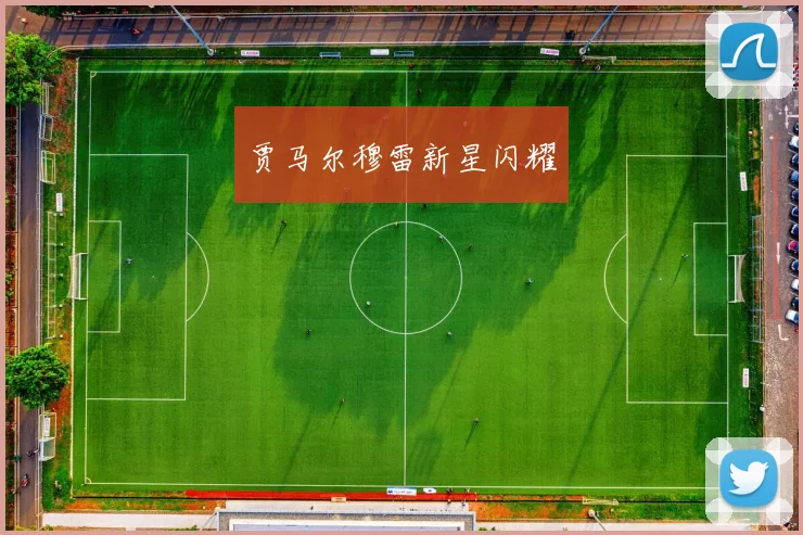 贾马尔穆雷新星闪耀