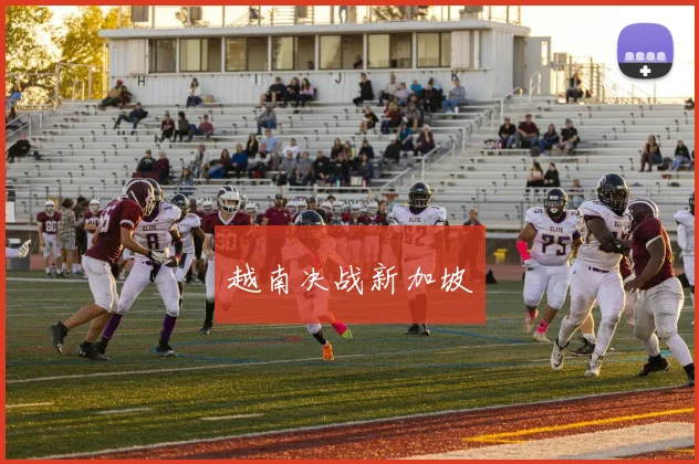 越南决战新加坡