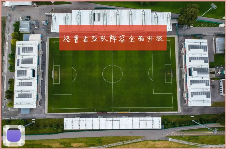 格鲁吉亚队阵容全面升级