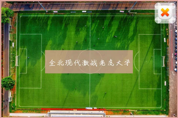 全北现代激战老虎大学