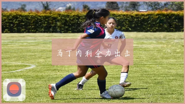 马丁内利全力出击