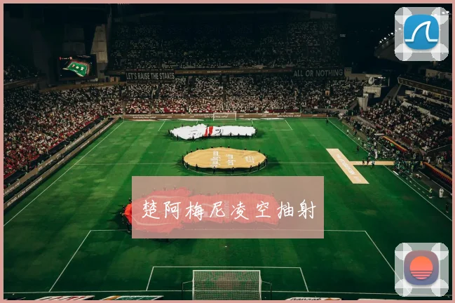 楚阿梅尼凌空抽射