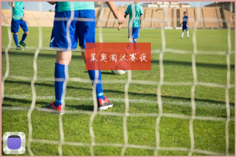 莱奥淘汰赛夜