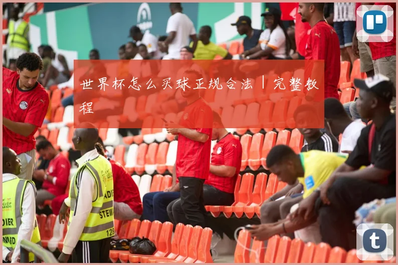 世界杯怎么买球正规合法｜完整教程