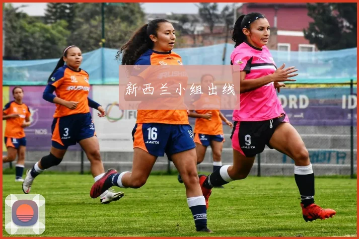 新西兰小组出线