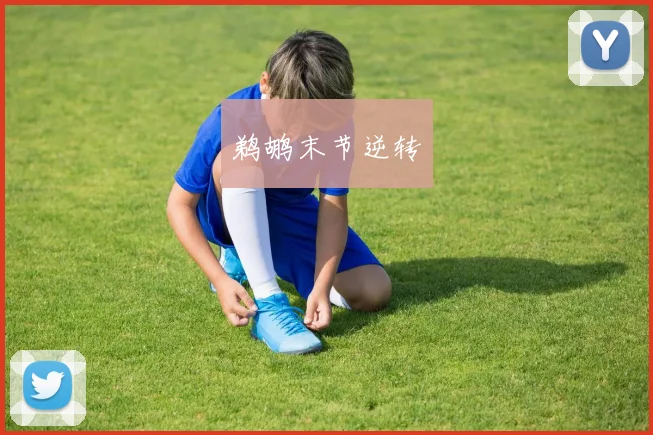 鹈鹕末节逆转