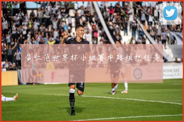 黄仁范世界杯小组赛中路组织任务