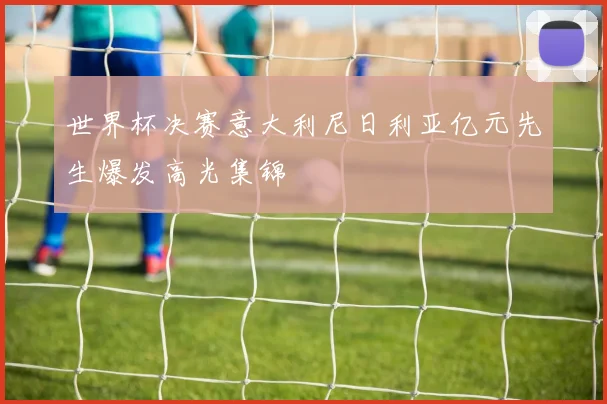 世界杯决赛意大利尼日利亚亿元先生爆发高光集锦
