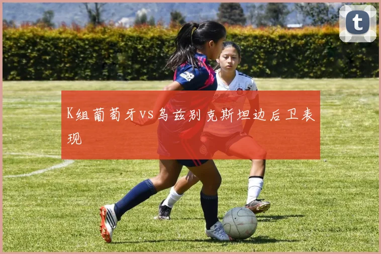 K组葡萄牙vs乌兹别克斯坦边后卫表现
